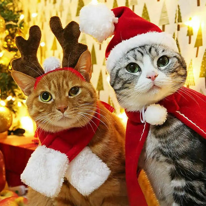 Festive Pet Costume