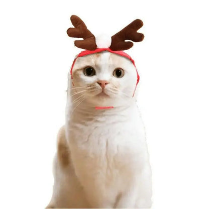 Festive Pet Costume