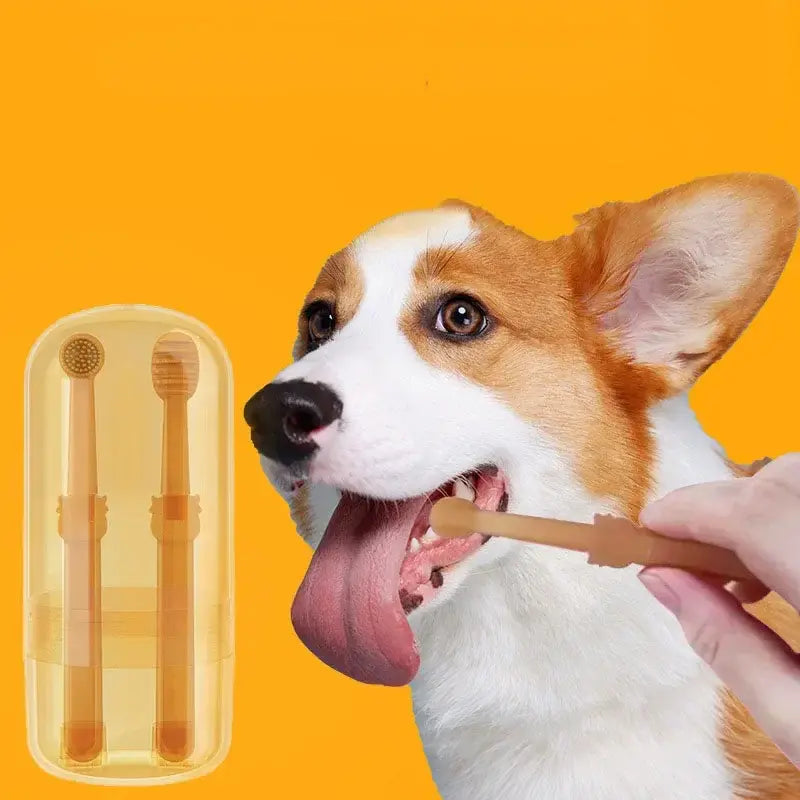 Teeth Whitening Pet Kit