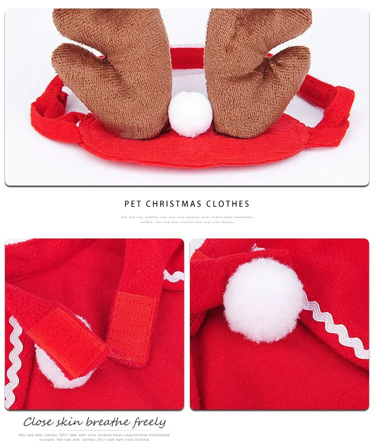 Festive Pet Costume