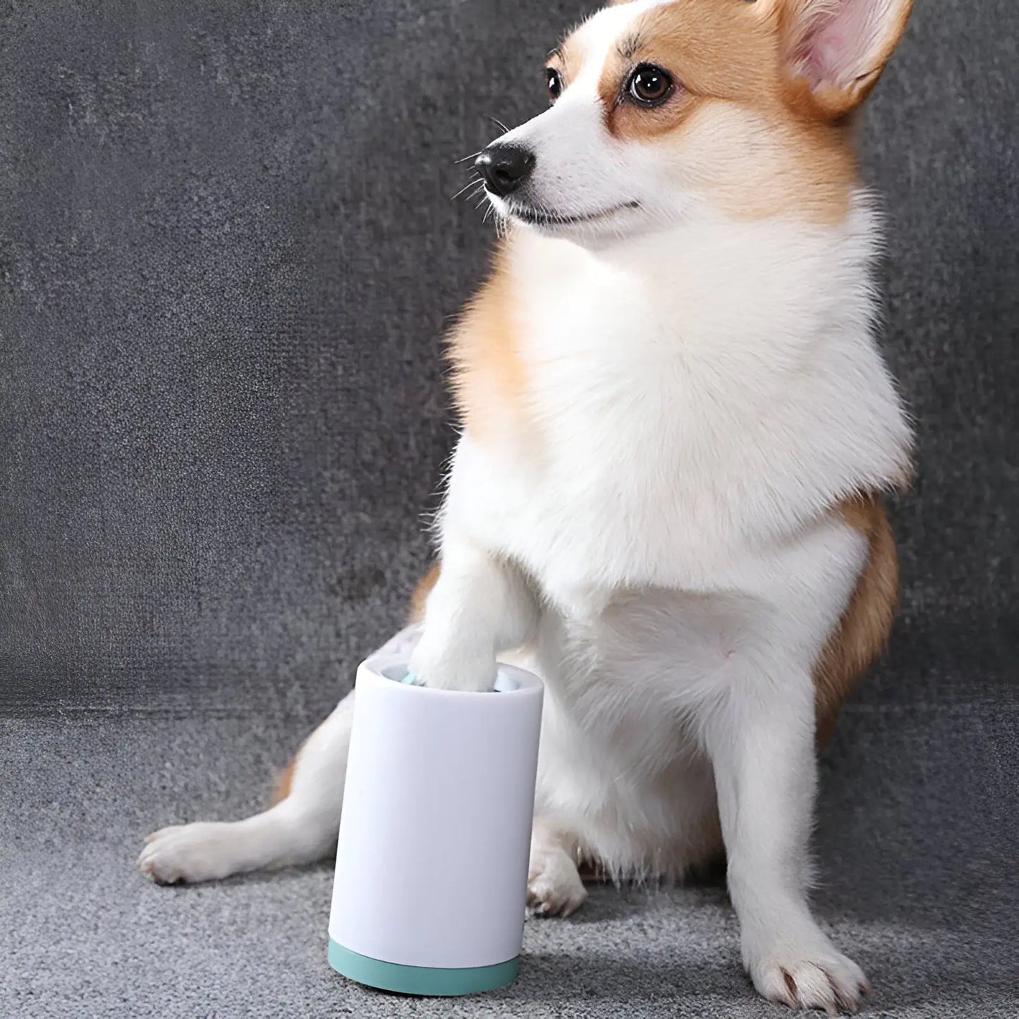 Petful Portable Dog Paw Cleaner