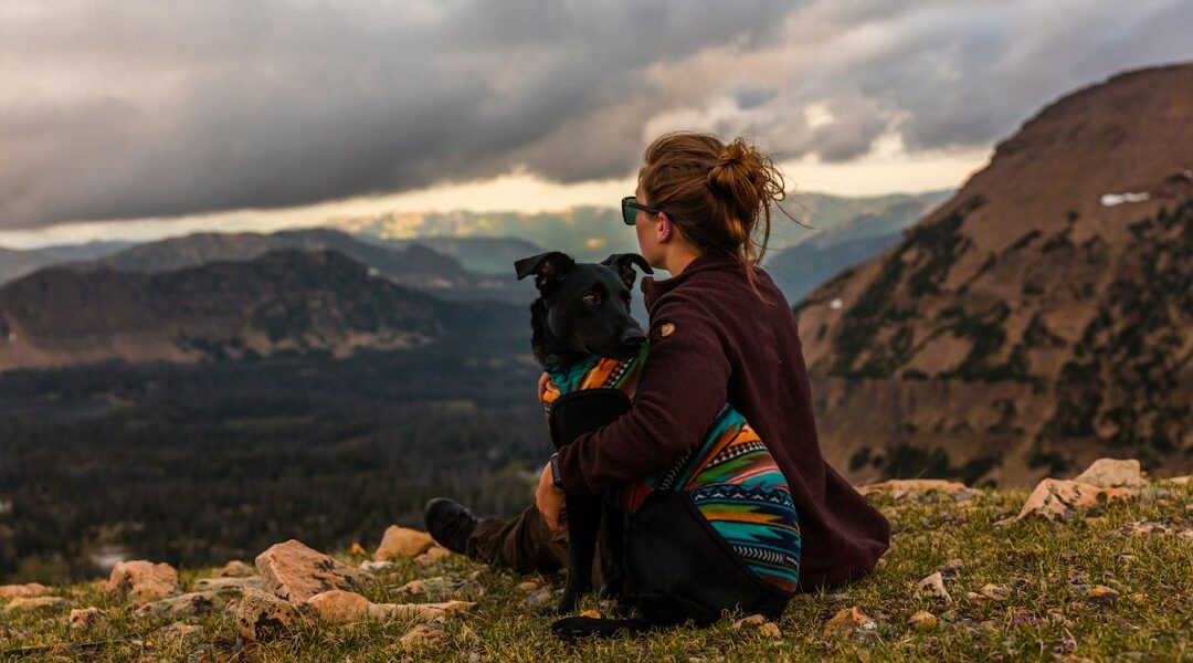 Puente festivo en casa: 7 actividades para entretener a tu perro sin salir Perro al aire libre para ilustrar actividades y juegos durante un día libre