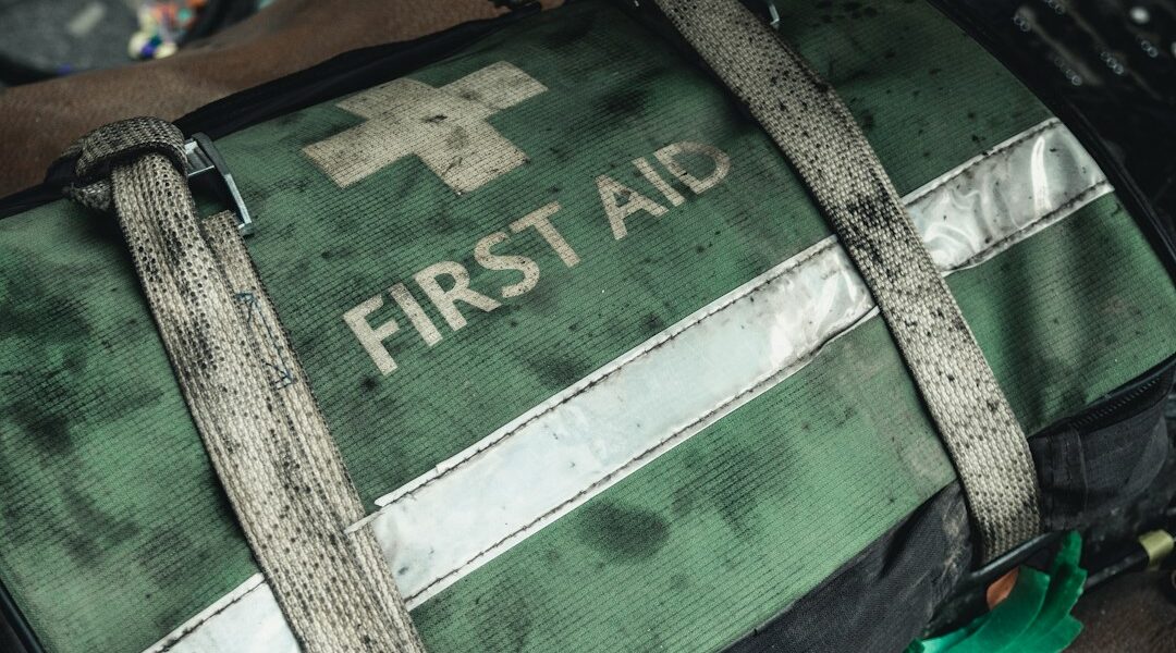 Cómo preparar un kit de emergencia para perros y gatos ante un temblor Elementos básicos para preparar un kit de emergencia para mascotas