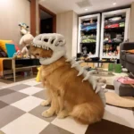 Disfraz de Dinosaurio para Gatos y Perros – Traje Suave con Diseño de Esqueleto - imagen 12
