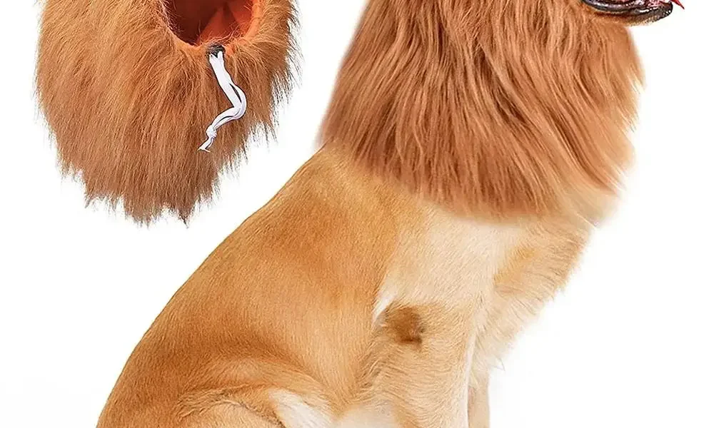 Disfraz de león para perro: cómo elegir la talla y usarlo con seguridad Disfraz de león para perro en diferentes tallas