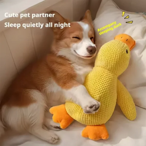 Juguete interactivo de pato para perros