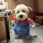 Cute Funny Dog Clothes Halloween Pet Costume For Small Big Dogs Cats Adjustable Puppy Cosplay Outfits Jumpsuit Pug Party Apparel - imagen 1
