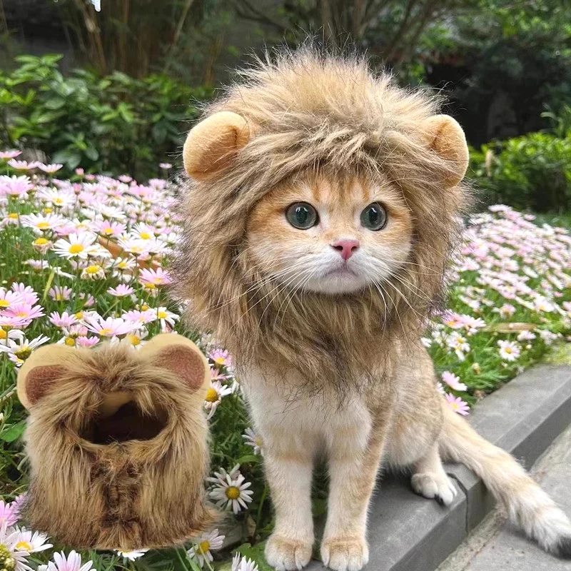 Sombrero para Gato y Gatito – Accesorio Suave para Fotos