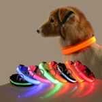 Nylon LED Night Safety Flashing Glow In The Dark Dog Leash Dogs Luminous Fluorescent Pet Dog Collar - imagen 1