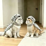 Disfraz de Dinosaurio para Gatos y Perros – Traje Suave con Diseño de Esqueleto - imagen 13