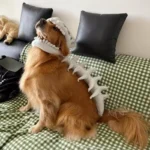 Disfraz de Dinosaurio para Gatos y Perros – Traje Suave con Diseño de Esqueleto - imagen 3
