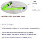 Nylon LED Night Safety Flashing Glow In The Dark Dog Leash Dogs Luminous Fluorescent Pet Dog Collar - imagen 5