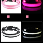 Nylon LED Night Safety Flashing Glow In The Dark Dog Leash Dogs Luminous Fluorescent Pet Dog Collar - imagen 15