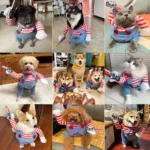 Cute Funny Dog Clothes Halloween Pet Costume For Small Big Dogs Cats Adjustable Puppy Cosplay Outfits Jumpsuit Pug Party Apparel - imagen 19