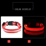 Nylon LED Night Safety Flashing Glow In The Dark Dog Leash Dogs Luminous Fluorescent Pet Dog Collar - imagen 18